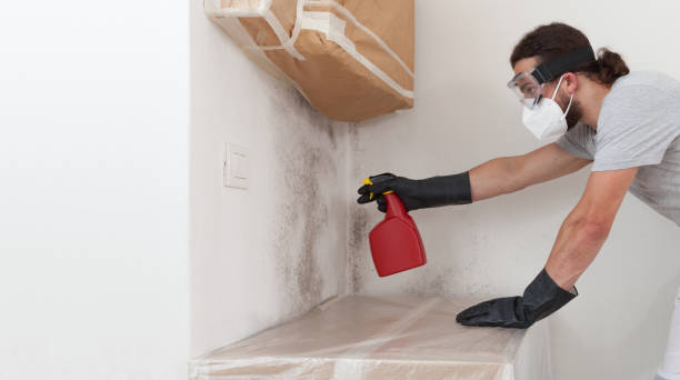 Professional Attic Mold Removal technician working in Fairview, NY