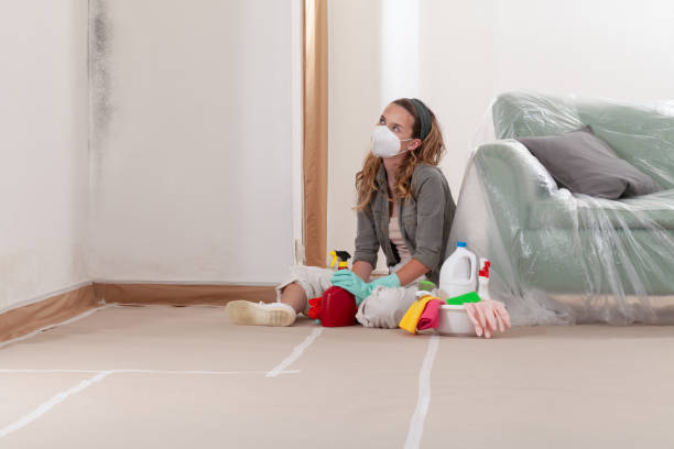 Reliable Attic Mold Removal contractor in Fairview, NY by WQB Mold Removal